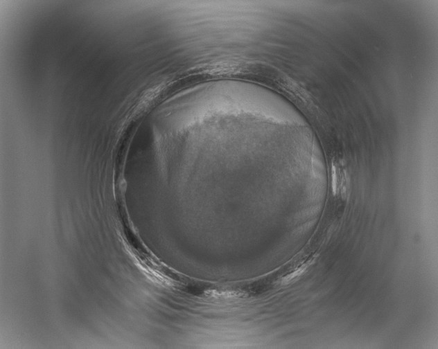 X0000058780205200510171302