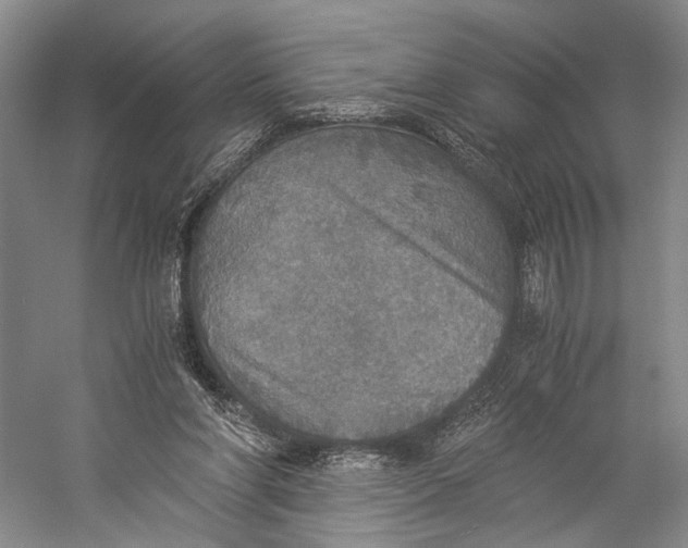 X0000058780206200510171302