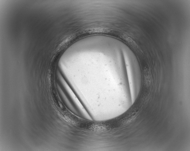 X0000058780207200510171302