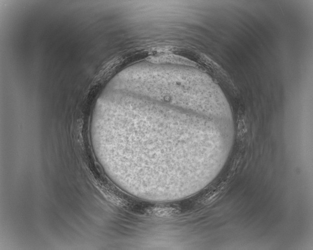 X0000058780209200510171302