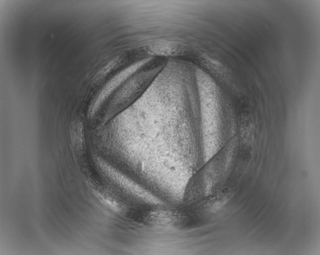 X0000058780211200510171302