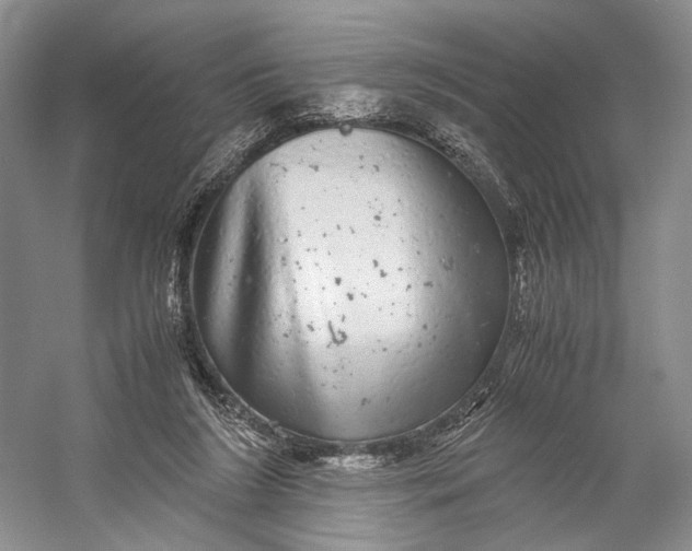 X0000058780212200510171302