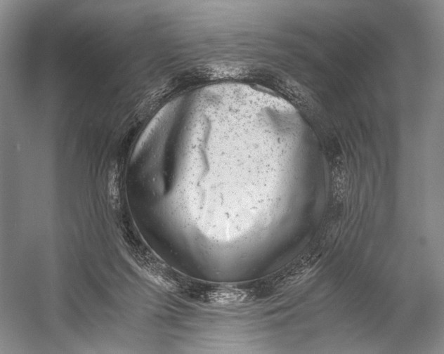 X0000058780215200510171302