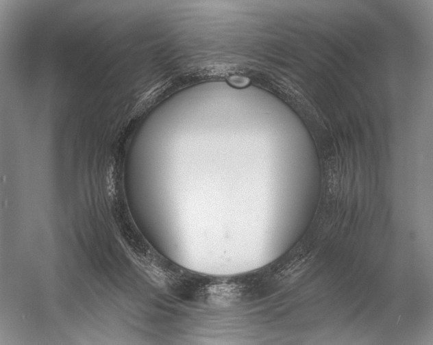 X0000058780216200510171302