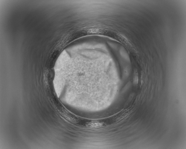 X0000058780217200510171302