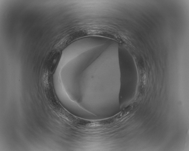 X0000058780219200510171302