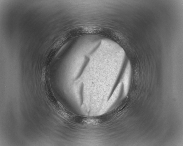 X0000058780221200510171302