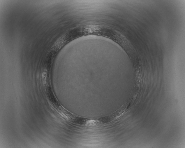 X0000058780222200510171302