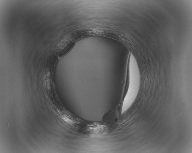 X0000058780223200510171302