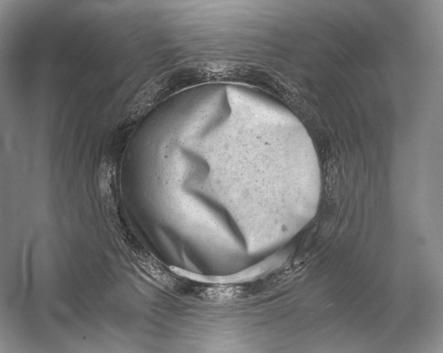 X0000058780225200510171302