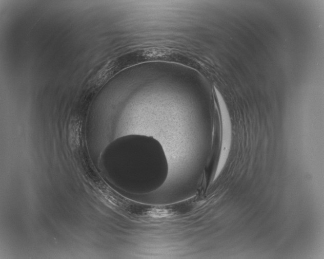 X0000058780227200510171301