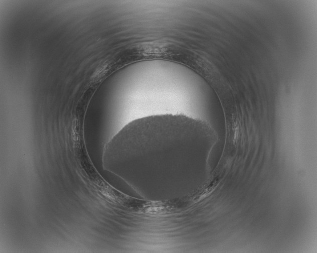 X0000058780228200510171301