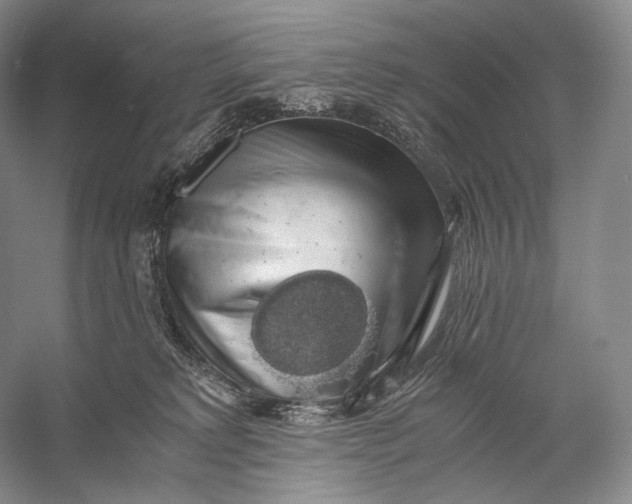 X0000058780229200510171301