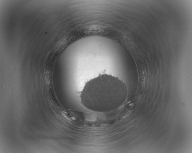 X0000058780232200510171301