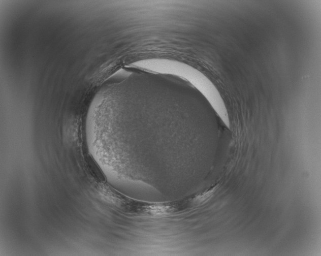 X0000058780233200510171301