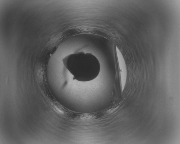 X0000058780235200510171301