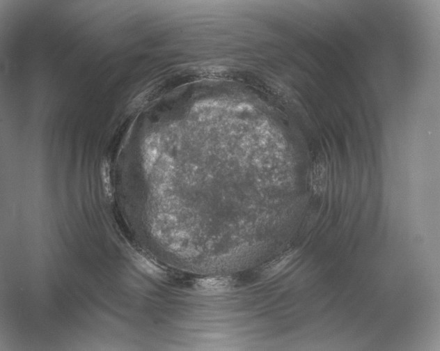 X0000058780238200510171301