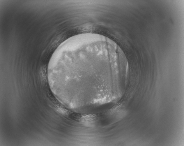 X0000058780240200510171301