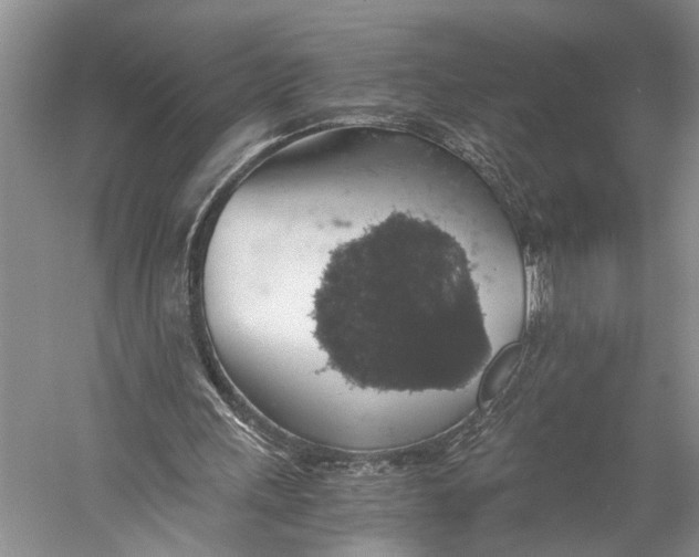 X0000058780243200510171300