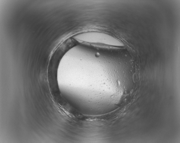 X0000058780244200510171300