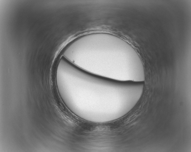 X0000058780248200510171301