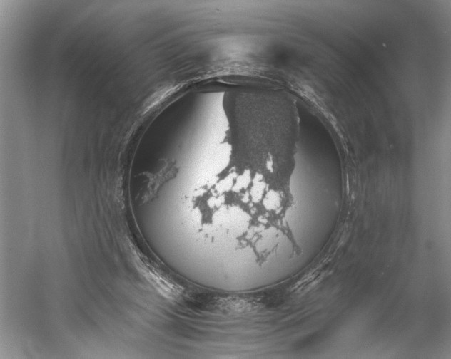 X0000058780249200510171301