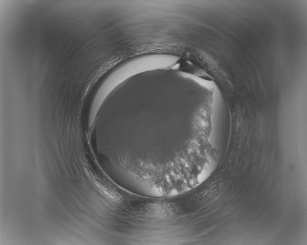 X0000058780250200510171301