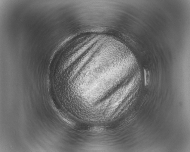 X0000058780252200510171301