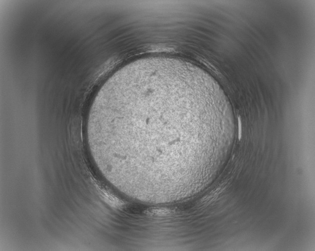 X0000058780253200510171301