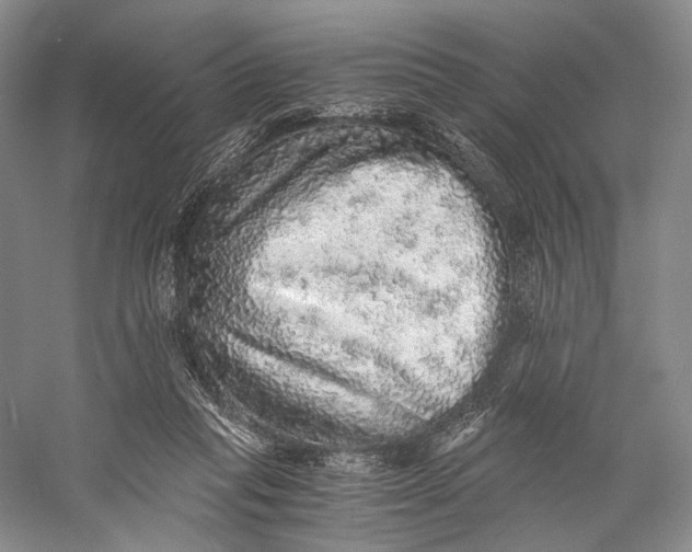 X0000058780261200510171301