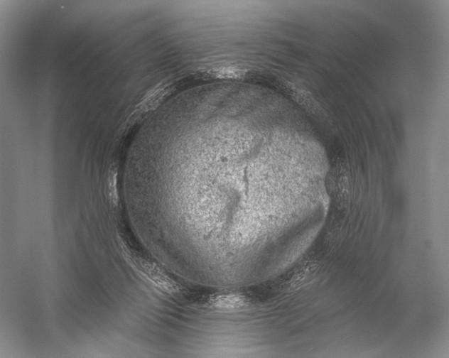 X0000058780262200510171301