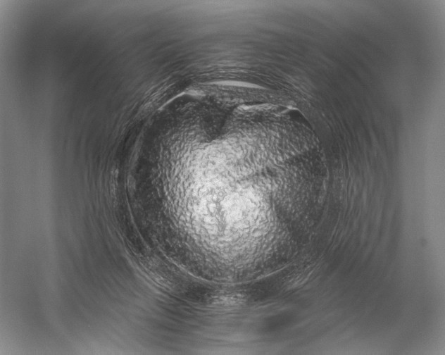 X0000058780263200510171301