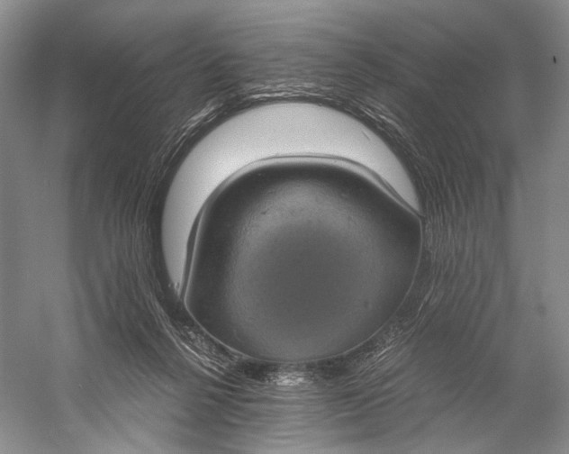 X0000058780264200510171301