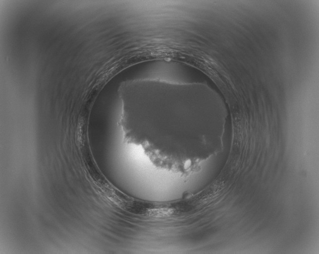 X0000058780266200510171301