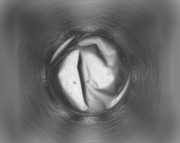 X0000058780268200510171301