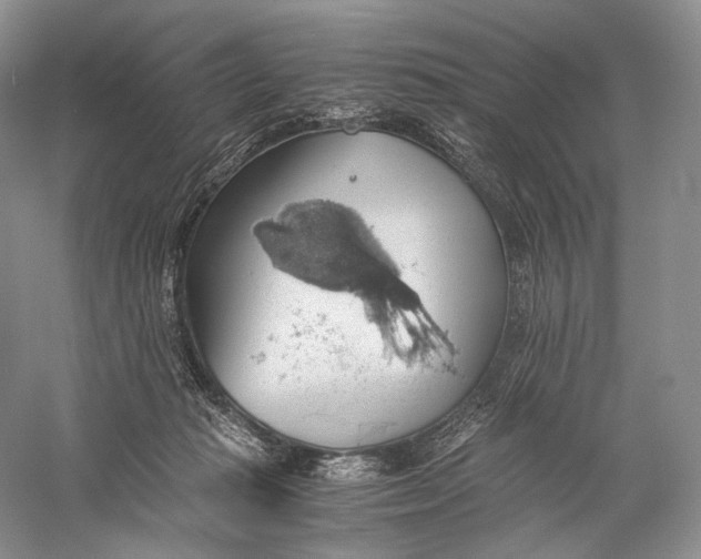 X0000058780269200510171301