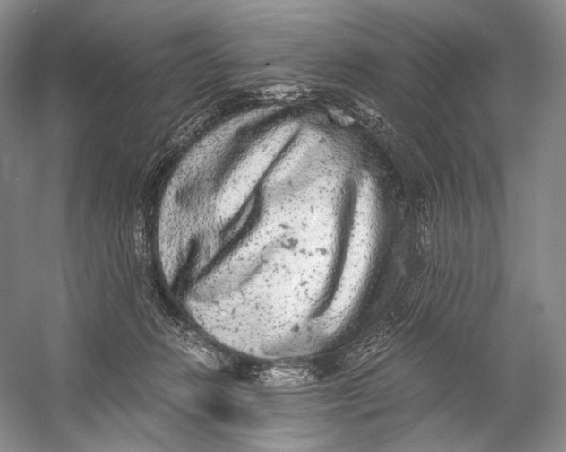 X0000058780270200510171301