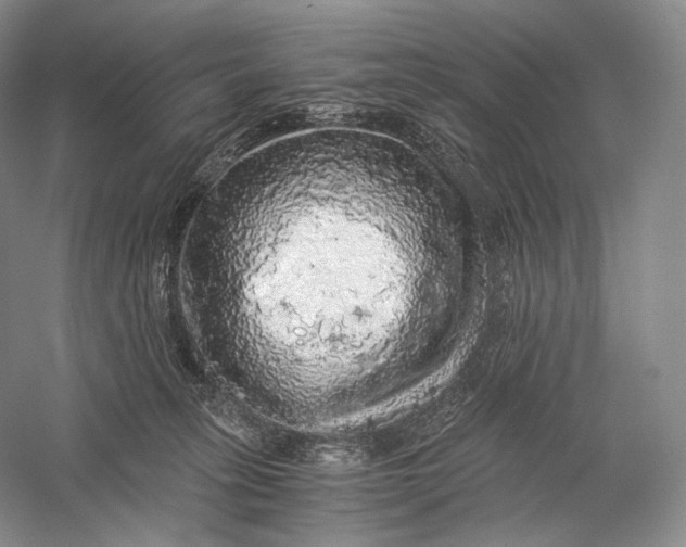 X0000058780275200510171301