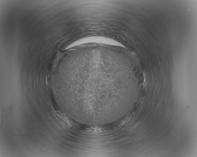 X0000058780276200510171301