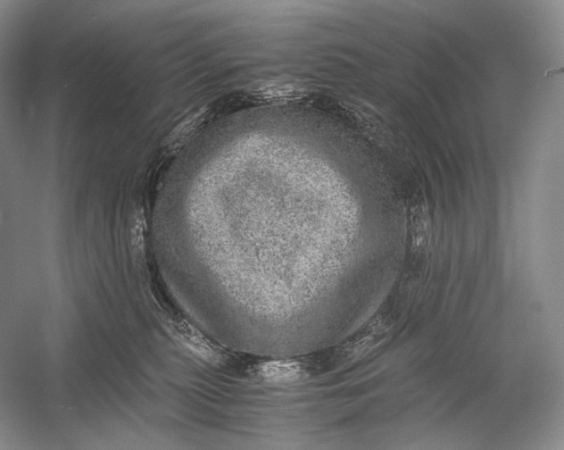 X0000058780279200510171301