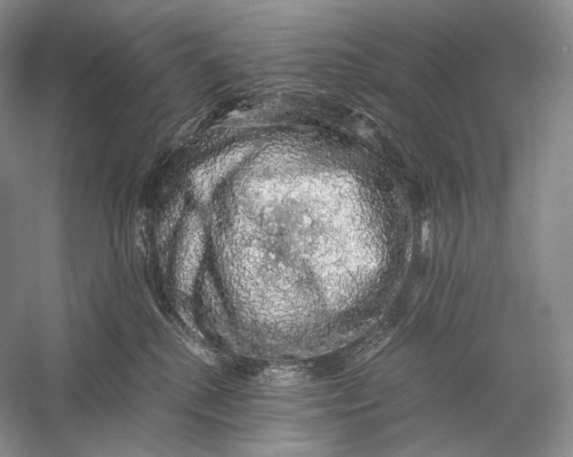 X0000058780280200510171301