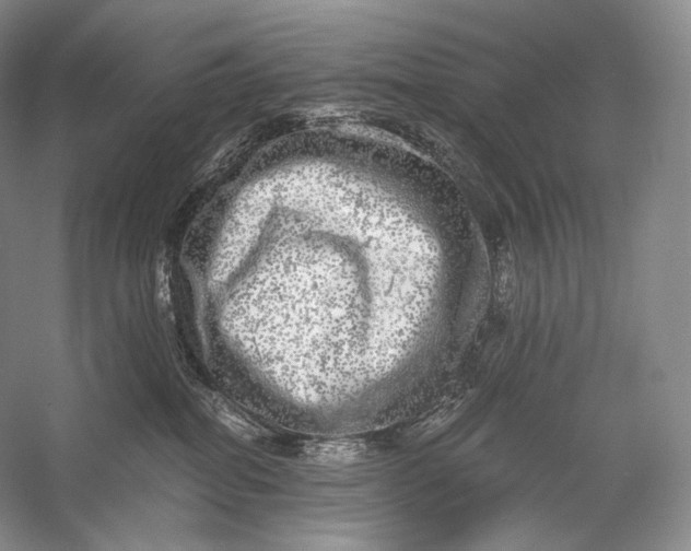 X0000058780282200510171301