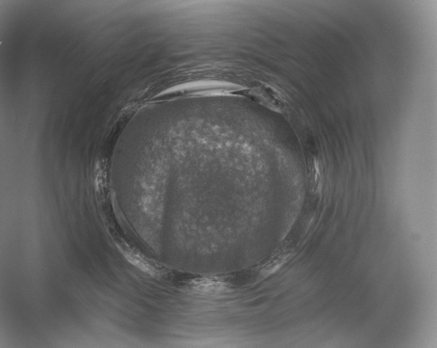 X0000058780284200510171301