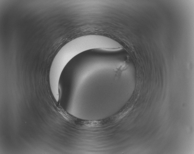 X0000058780288200510171301