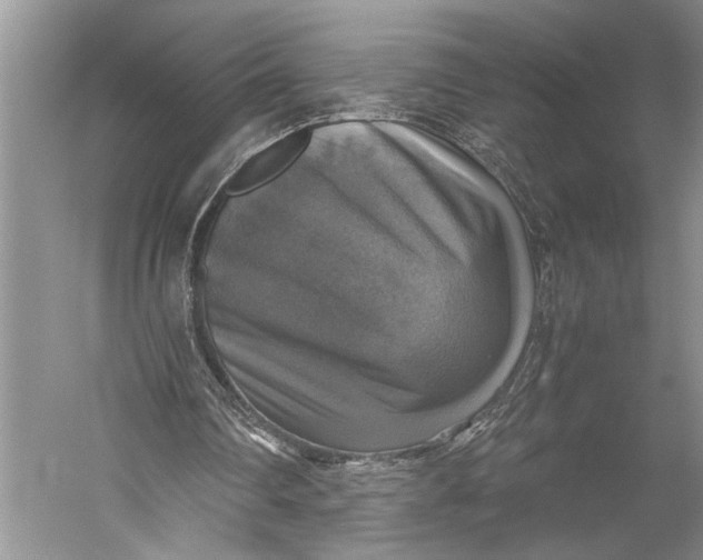 X0000058780290200510171300