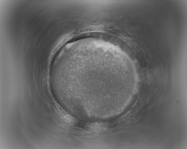 X0000058780293200510171300