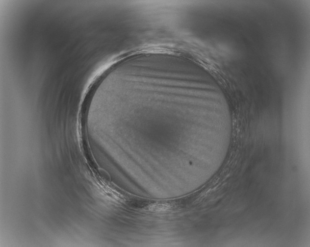 X0000058780294200510171300