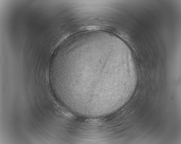 X0000058780297200510171300