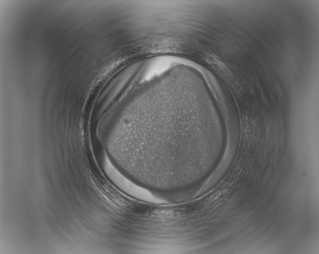 X0000058780298200510171300