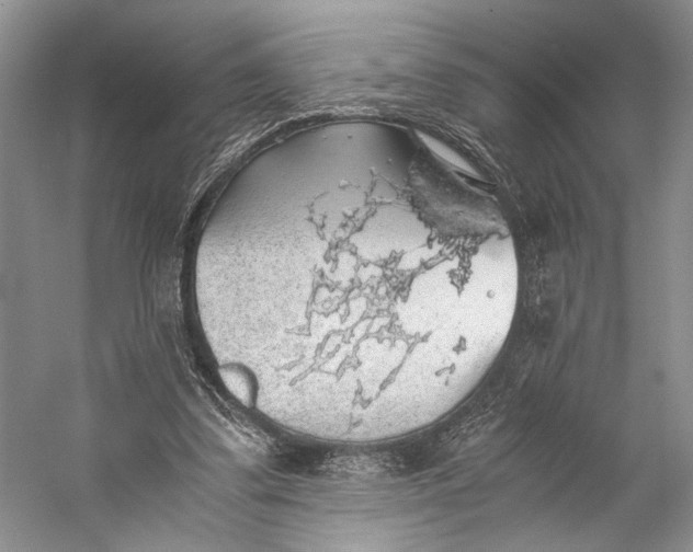 X0000058780299200510171300